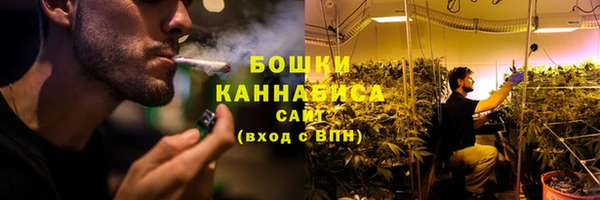 шишки Богородицк