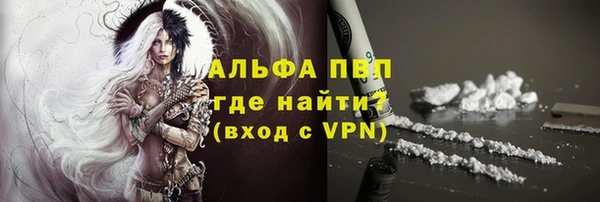 шишки Богородицк