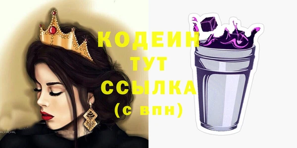 шишки Богородицк