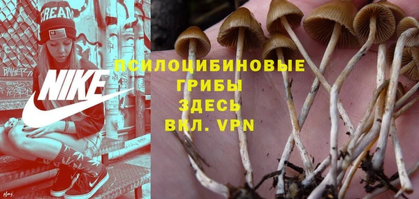 шишки Богородицк