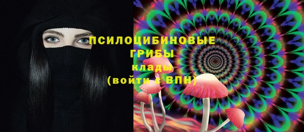 экстази Богородск