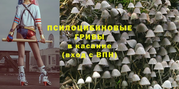 марки lsd Богданович